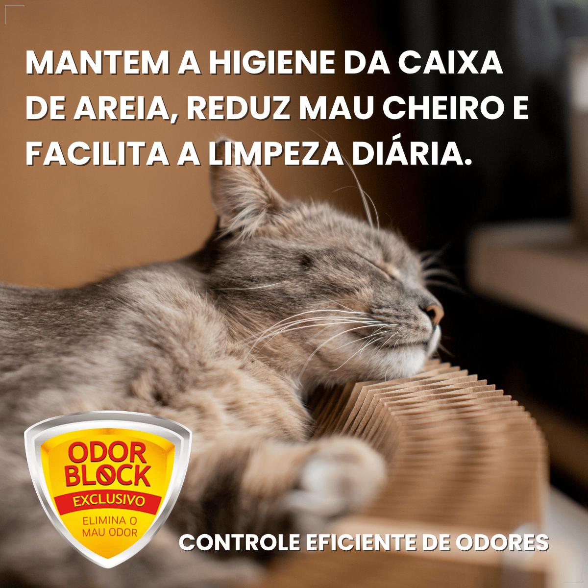 Areia Higienica para gatos Pipicat Classic Elimina Odor 4kg