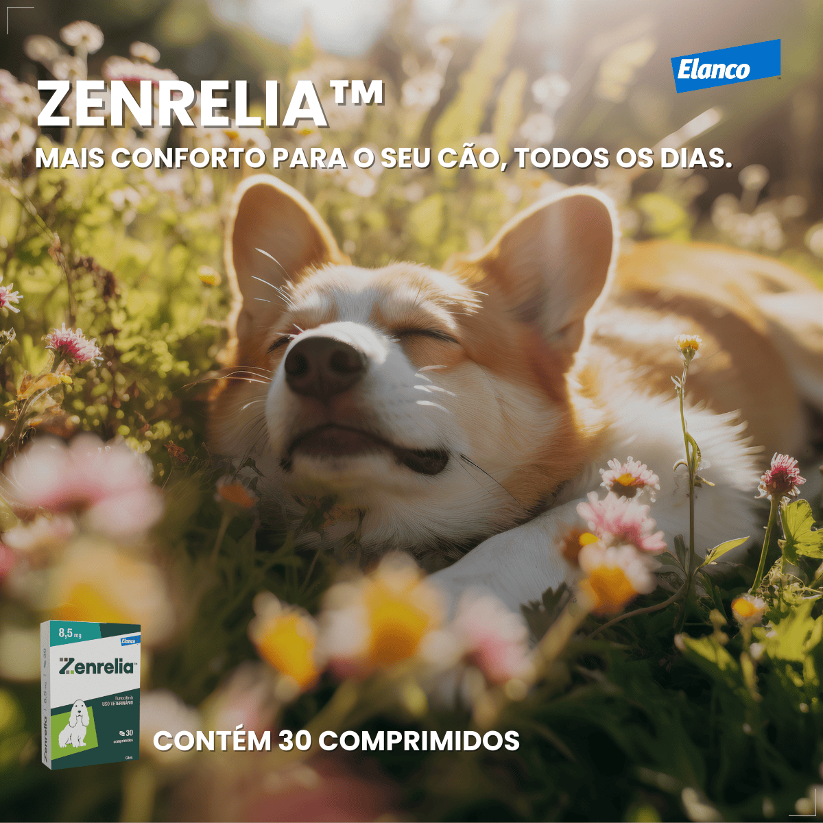 Zenrelia Antialérgico Para Dermatite Coceiras 8,5mg 30 comp