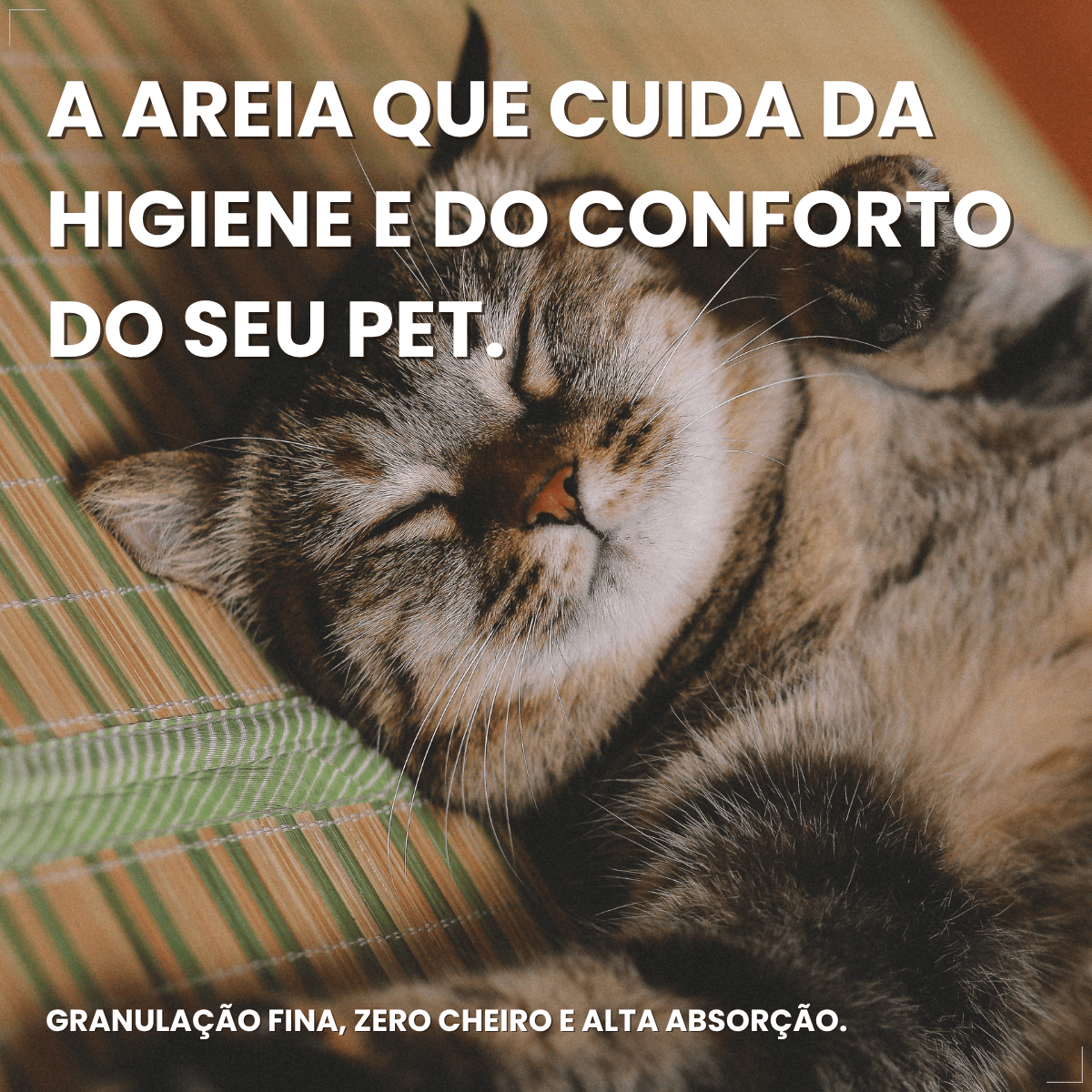 Kit 2  Areia Higienica Gato Pipicat Classic Elimina Odor 4kg