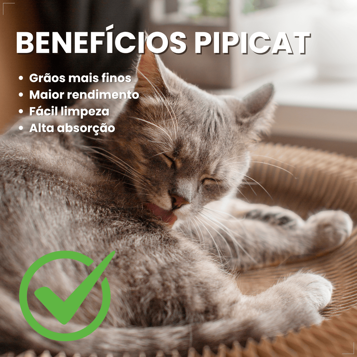 Kit 2  Areia Higienica Gato Pipicat Classic Elimina Odor 4kg
